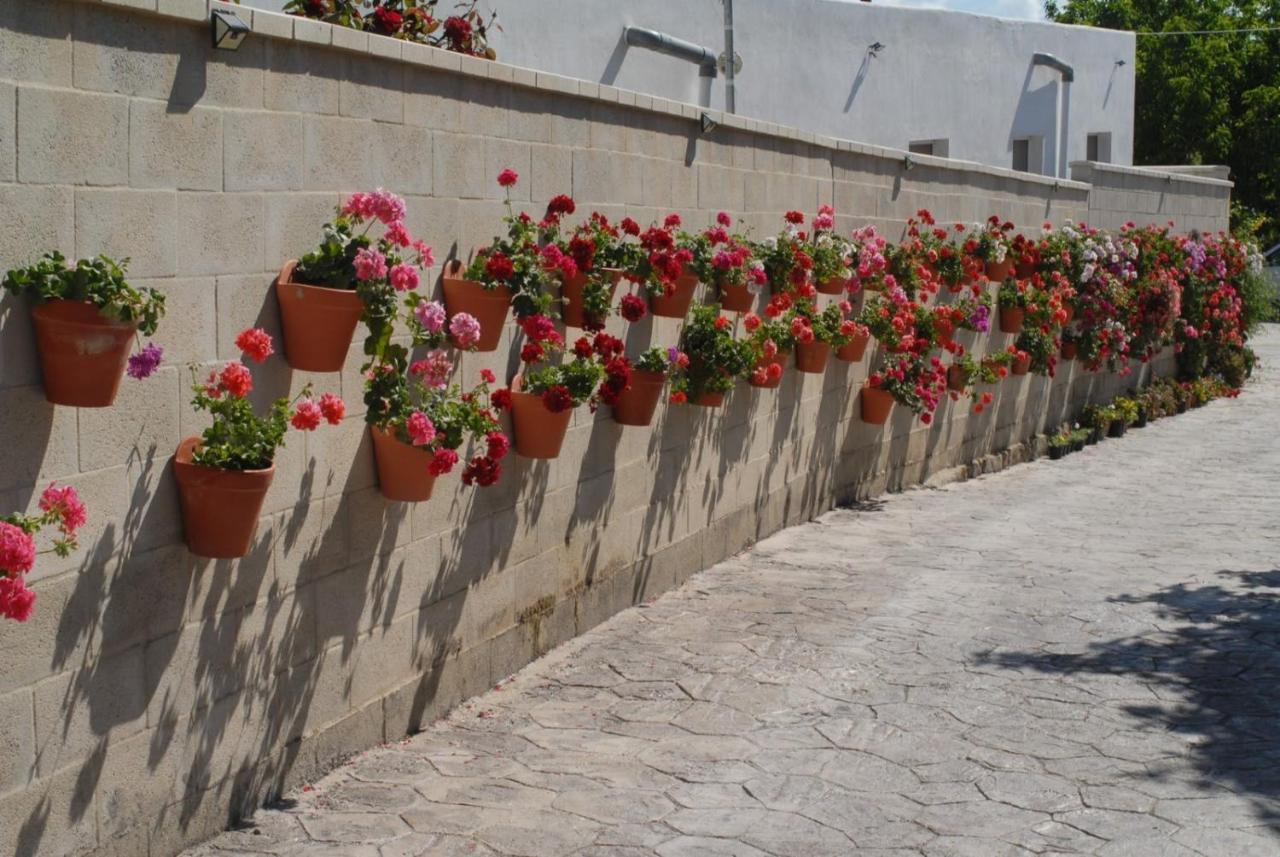 Pueblos Blancos 베예데라프론테라 외부 사진